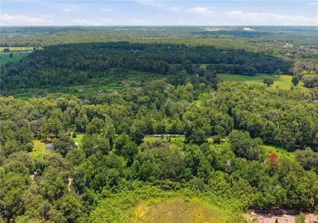 46th image of 17400 Nw 120th Ave Rd, Reddick, FL 32686 | MLS# OM697450