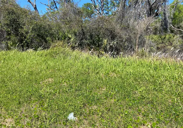Homes for sale in De Leon Springs, FL | Parcel 27 15 30 00 00 0160, De Leon Springs, FL 32130 | MLS# V4941596