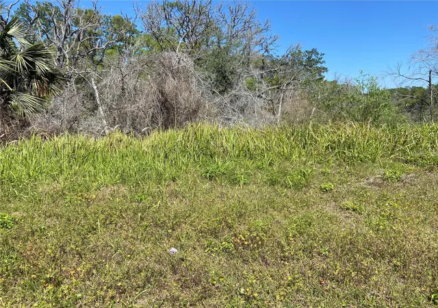 Homes for sale in De Leon Springs, FL | Parcel 27 15 30 00 00 0200, De Leon Springs, FL 32130 | MLS# V4941597