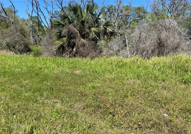Homes for sale in De Leon Springs, FL | Parcel 27 15 30 00 00 0200, De Leon Springs, FL 32130 | MLS# V4941597
