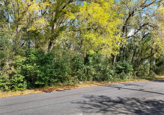Photo 3 of Land for sale at 709 S Smith Ave, Inverness, FL 34453 | MLS# O6291512 | Listing updated on 2026-09-24