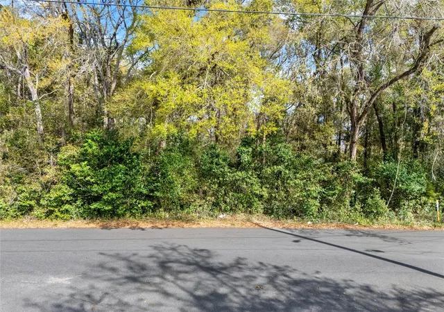 Photo 4 of Land for sale at 709 S Smith Ave, Inverness, FL 34453 | MLS# O6291512 | Listing updated on 2026-09-24
