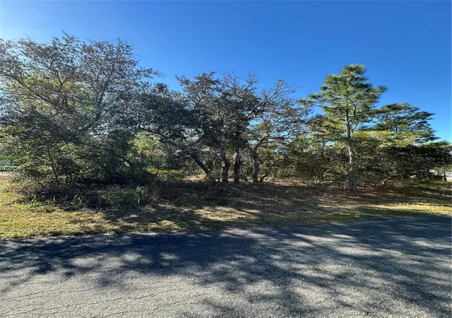4th image of 7 Sweetbay Ct, Homosassa, FL 34446 | MLS# TB8364467
