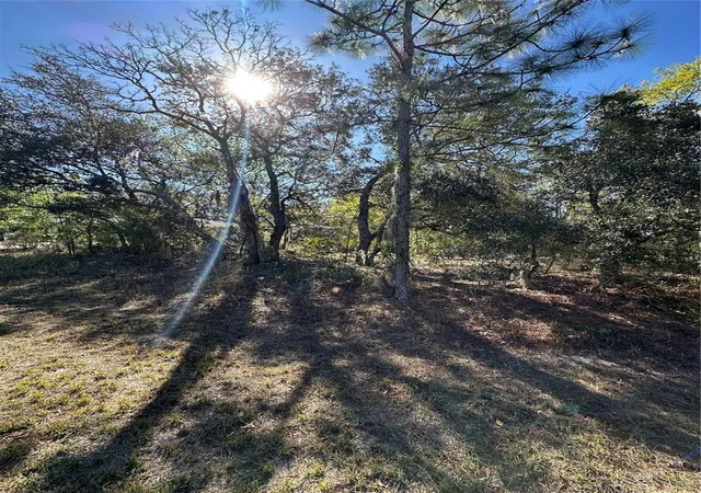 5th image of 7 Sweetbay Ct, Homosassa, FL 34446 | MLS# TB8364467