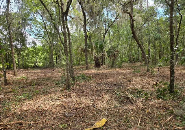 13th image of 8903 Se 225th Dr, Hawthorne, FL 32640 | MLS# GC529258