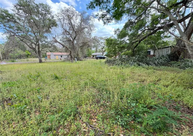 Photo 2 of Land for sale at 3221 Dublin Rd, Dade City, FL 33523 | MLS# TB8365101 | Listing updated on 2026-08-06
