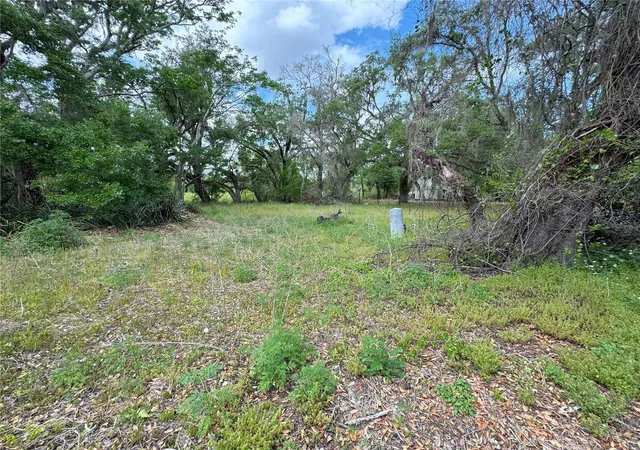 Photo 3 of Land for sale at 3221 Dublin Rd, Dade City, FL 33523 | MLS# TB8365101 | Listing updated on 2026-08-06