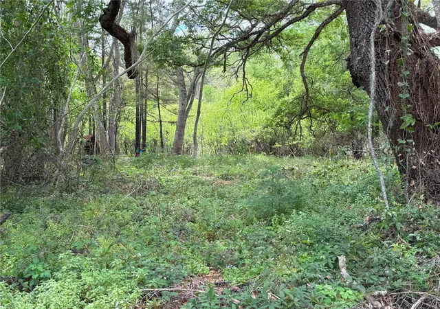 Photo 5 of Land for sale at 3221 Dublin Rd, Dade City, FL 33523 | MLS# TB8365101 | Listing updated on 2026-08-06
