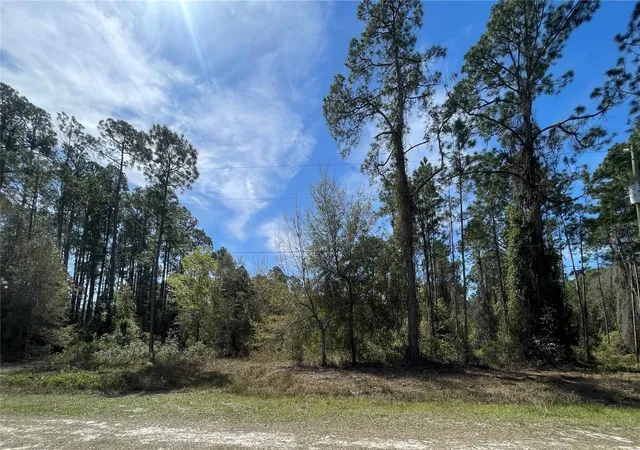 Photo 1 of Land for sale at 103 Rosewood St, Georgetown, FL 32139 | MLS# FC308355 | Listing updated on 2026-08-28