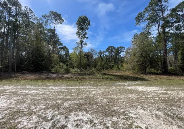 Photo 3 of Land for sale at 103 Rosewood St, Georgetown, FL 32139 | MLS# FC308355 | Listing updated on 2026-08-28