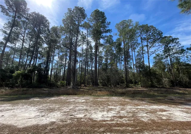 Photo 1 of Land for sale at 105 Rosewood St, Georgetown, FL 32139 | MLS# FC308368 | Listing updated on 2026-08-28