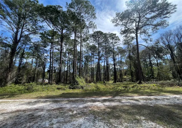Photo 3 of Land for sale at 105 Rosewood St, Georgetown, FL 32139 | MLS# FC308368 | Listing updated on 2026-08-28