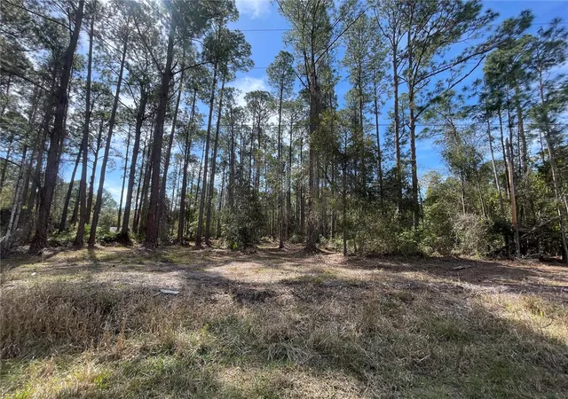 Photo 4 of Land for sale at 105 Rosewood St, Georgetown, FL 32139 | MLS# FC308368 | Listing updated on 2026-08-28