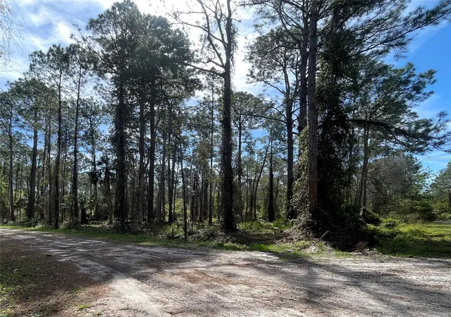 Photo 1 of Land for sale at 107 Rosewood St, Georgetown, FL 32139 | MLS# FC308372 | Listing updated on 2026-08-28