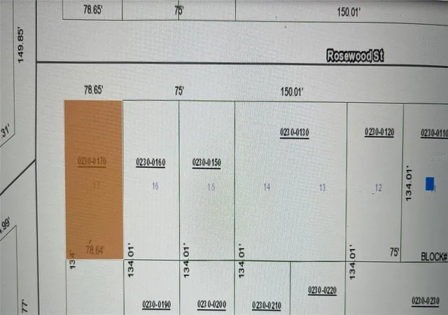 Photo 2 of Land for sale at 107 Rosewood St, Georgetown, FL 32139 | MLS# FC308372 | Listing updated on 2026-08-28