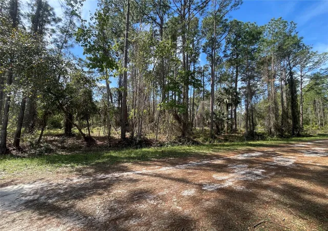 Photo 3 of Land for sale at 107 Rosewood St, Georgetown, FL 32139 | MLS# FC308372 | Listing updated on 2026-08-28