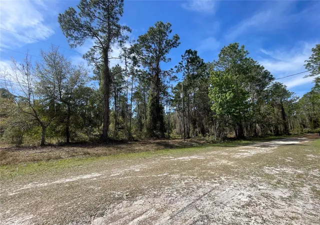 Photo 3 of Land for sale at 107 Rosewood St, Georgetown, FL 32139 | MLS# FC308372 | Listing updated on 2026-08-28