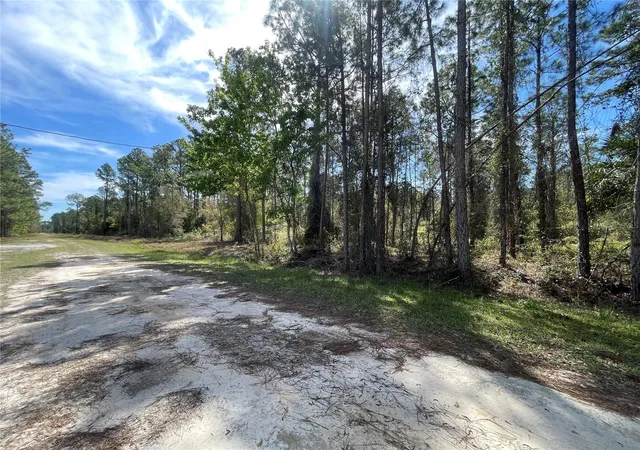 Photo 4 of Land for sale at 107 Rosewood St, Georgetown, FL 32139 | MLS# FC308372 | Listing updated on 2026-08-28