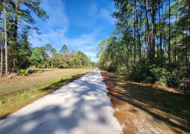 Photo 2 of Land for sale at 116 Mosswood St, Georgetown, FL 32139 | MLS# FC308374 | Listing updated on 2026-08-28