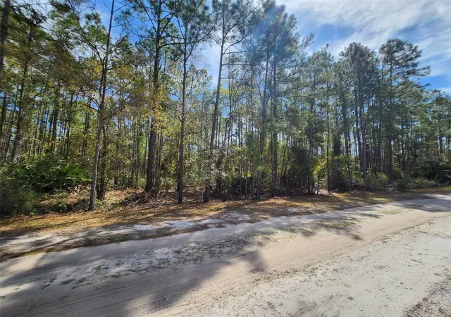 Photo 3 of Land for sale at 116 Mosswood St, Georgetown, FL 32139 | MLS# FC308374 | Listing updated on 2026-08-28