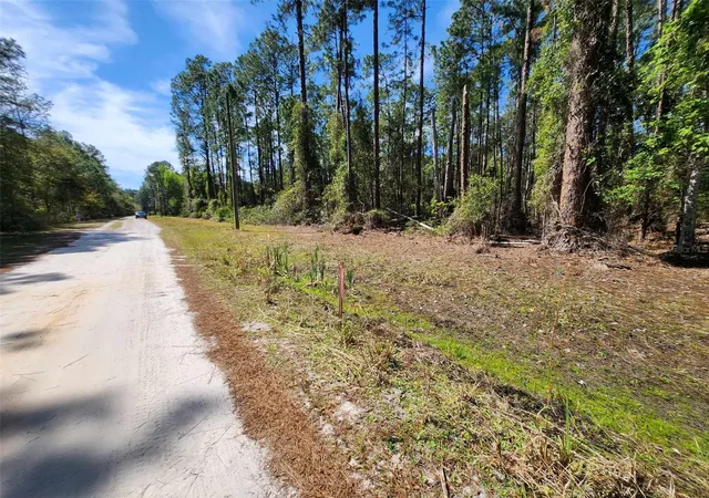 Photo 1 of Land for sale at 114 Mosswood St, Georgetown, FL 32139 | MLS# FC308375 | Listing updated on 2026-08-28