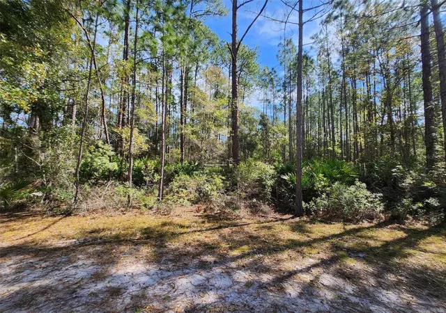 Photo 3 of Land for sale at 114 Mosswood St, Georgetown, FL 32139 | MLS# FC308375 | Listing updated on 2026-08-28