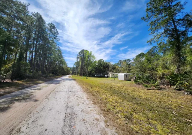Photo 4 of Land for sale at 114 Mosswood St, Georgetown, FL 32139 | MLS# FC308375 | Listing updated on 2026-08-28