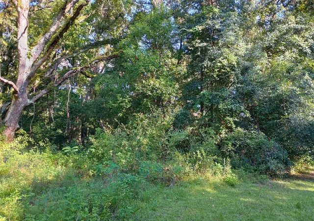 Photo 3 of Land for sale at 11704 N Landover Ter, Dunnellon, FL 34434 | MLS# O6292963 | Listing updated on 2025-12-22