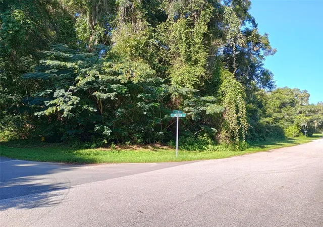 Photo 3 of Land for sale at 11704 N Landover Ter, Dunnellon, FL 34434 | MLS# O6292963 | Listing updated on 2025-12-22