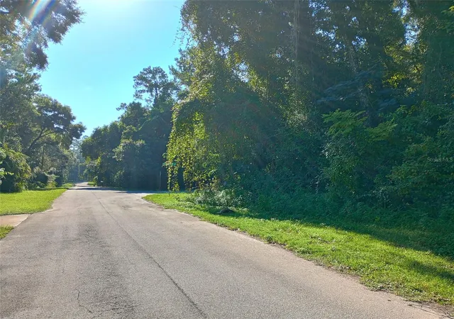 Photo 4 of Land for sale at 11704 N Landover Ter, Dunnellon, FL 34434 | MLS# O6292963 | Listing updated on 2025-12-22