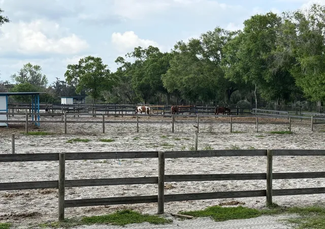 3rd image of 16315 Mcglamery Rd, Odessa, FL 33556 | MLS# TB8366062
