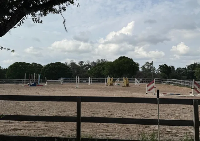 4th image of 16315 Mcglamery Rd, Odessa, FL 33556 | MLS# TB8366062