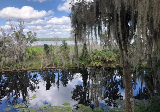 2nd image of 216 Little Orange Lake Dr, Hawthorne, FL 32640 | MLS# GC529346