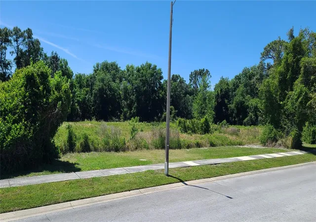 5th image of 101 Wood Dove Ave, Tarpon Springs, FL 34689 | MLS# TB8366231