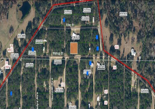2nd image of 116 Walkup St, Interlachen, FL 32148 | MLS# O6293454