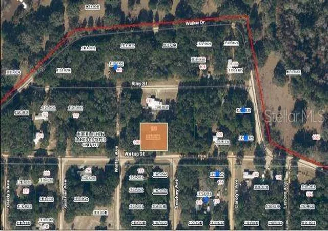 4th image of 116 Walkup St, Interlachen, FL 32148 | MLS# O6293454