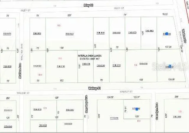 5th image of 116 Walkup St, Interlachen, FL 32148 | MLS# O6293454
