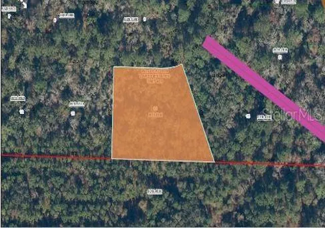 Photo 3 of Land for sale at 121 Corbina Way W, Florahome, FL 32140 | MLS# O6293460 | Listing updated on 2026-02-26