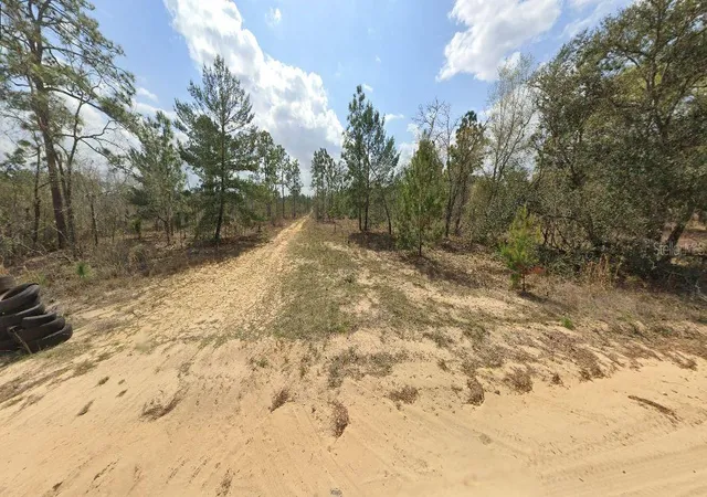 2nd image of 228 Rome Ave, Interlachen, FL 32148 | MLS# O6293469