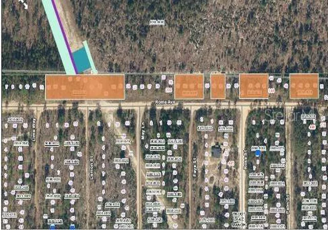 3rd image of 228 Rome Ave, Interlachen, FL 32148 | MLS# O6293469