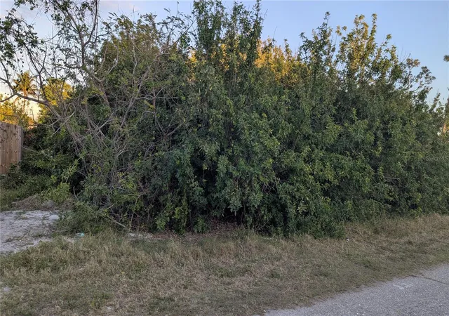 Photo 2 of Land for sale at 4026 Mcintire St, Port Charlotte, FL 33948 | MLS# D6141574 | Listing updated on 2026-09-24