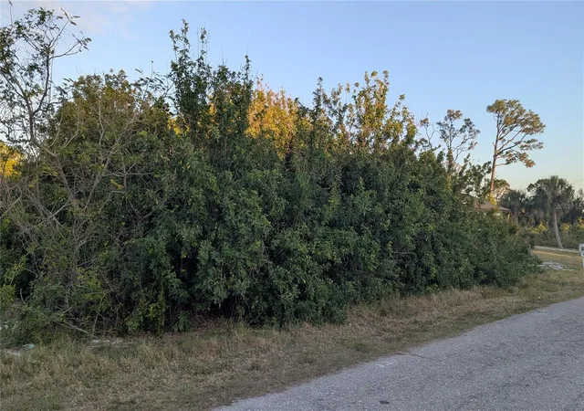 Photo 3 of Land for sale at 4026 Mcintire St, Port Charlotte, FL 33948 | MLS# D6141574 | Listing updated on 2026-09-24