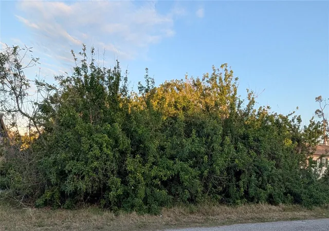 Photo 4 of Land for sale at 4026 Mcintire St, Port Charlotte, FL 33948 | MLS# D6141574 | Listing updated on 2026-09-24