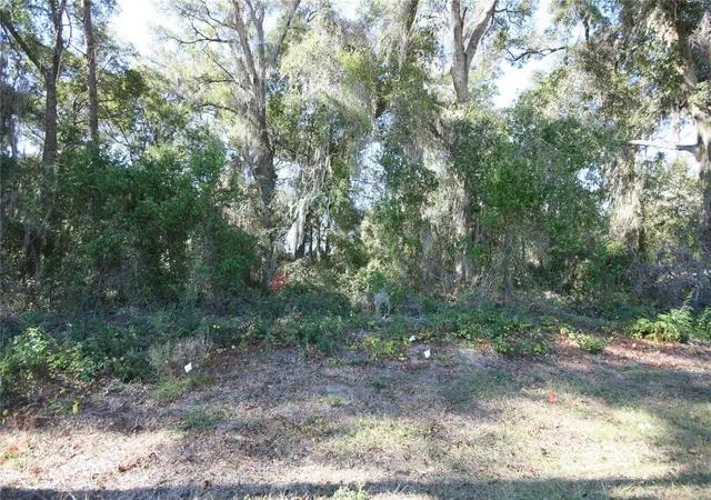 Photo 4 of Land for sale at Tbd Ne 36 Ave, Ocala, FL 34474 | MLS# TB8366518 | Listing updated on 2026-10-05