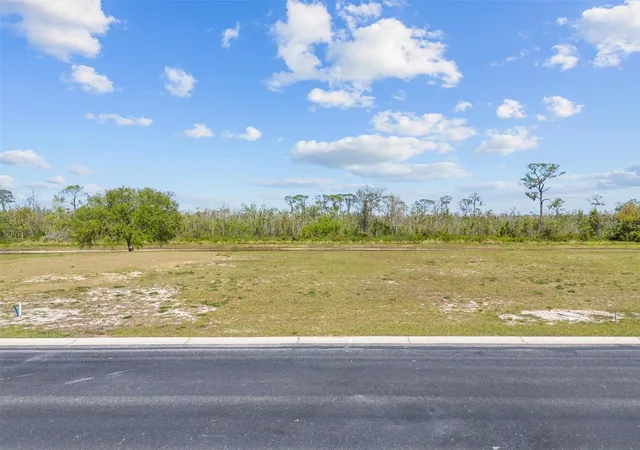 Homes for sale in Auburndale, FL | 345 Adams View Ln, Auburndale, FL 33823 | MLS# P4934260