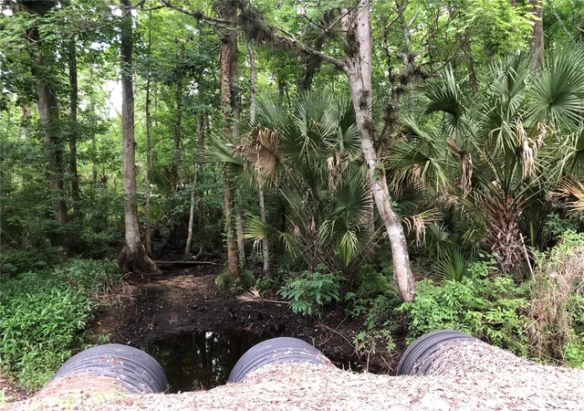Photo 5 of Land for sale at Keefer Trl, Kissimmee, FL 34747 | MLS# S5123655 | Listing updated on 2026-05-09