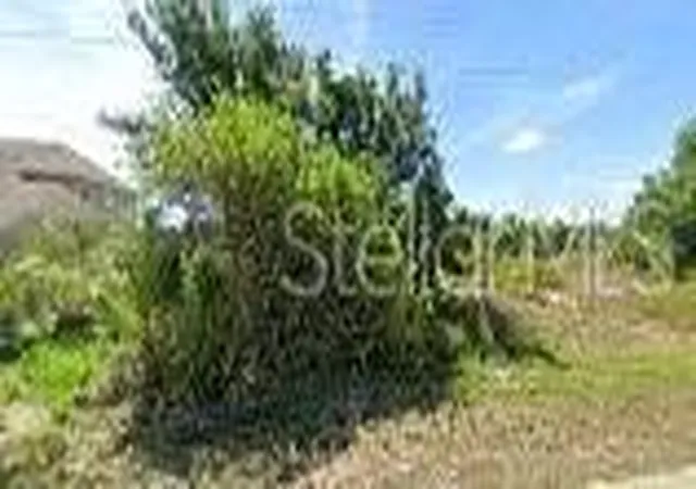 Photo 1 of Land for sale at 9193 Arberg St, Port Charlotte, FL 33981 | MLS# O6295229 | Listing updated on 2026-10-01