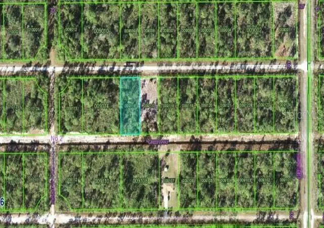 Photo 3 of Land for sale at 417 Azalea Dr, Indian Lake Estates, FL 33855 | MLS# O6295298 | Listing updated on 2025-08-02