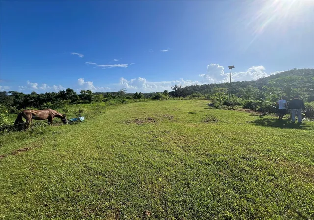 Photo 1 of Land for sale at Carr 857 Km Hm 003 3 Bo Canovanillas, Carolina, PR 00987 | MLS# PR9112773 | Listing updated on 2026-09-14