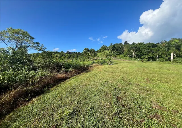 Photo 2 of Land for sale at Carr 857 Km Hm 003 3 Bo Canovanillas, Carolina, PR 00987 | MLS# PR9112773 | Listing updated on 2026-09-14